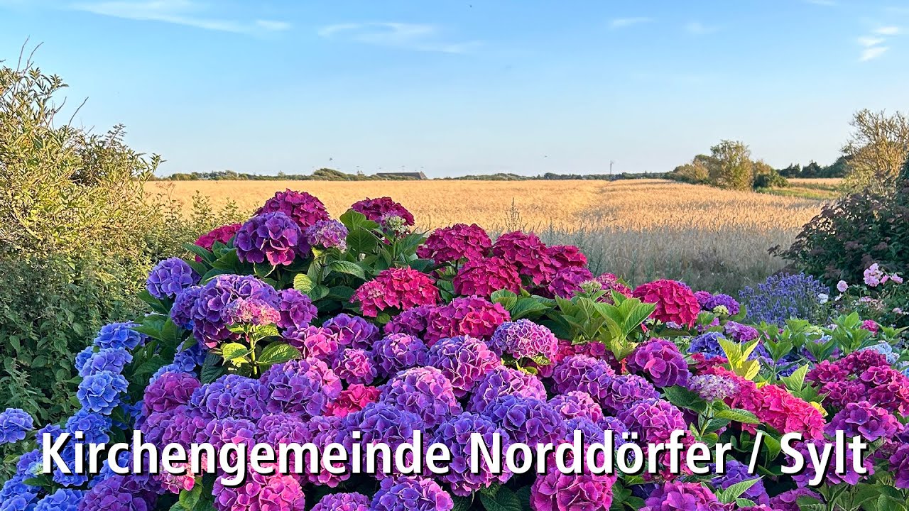 Video Andacht der Kirchengemeinde Norddörfer