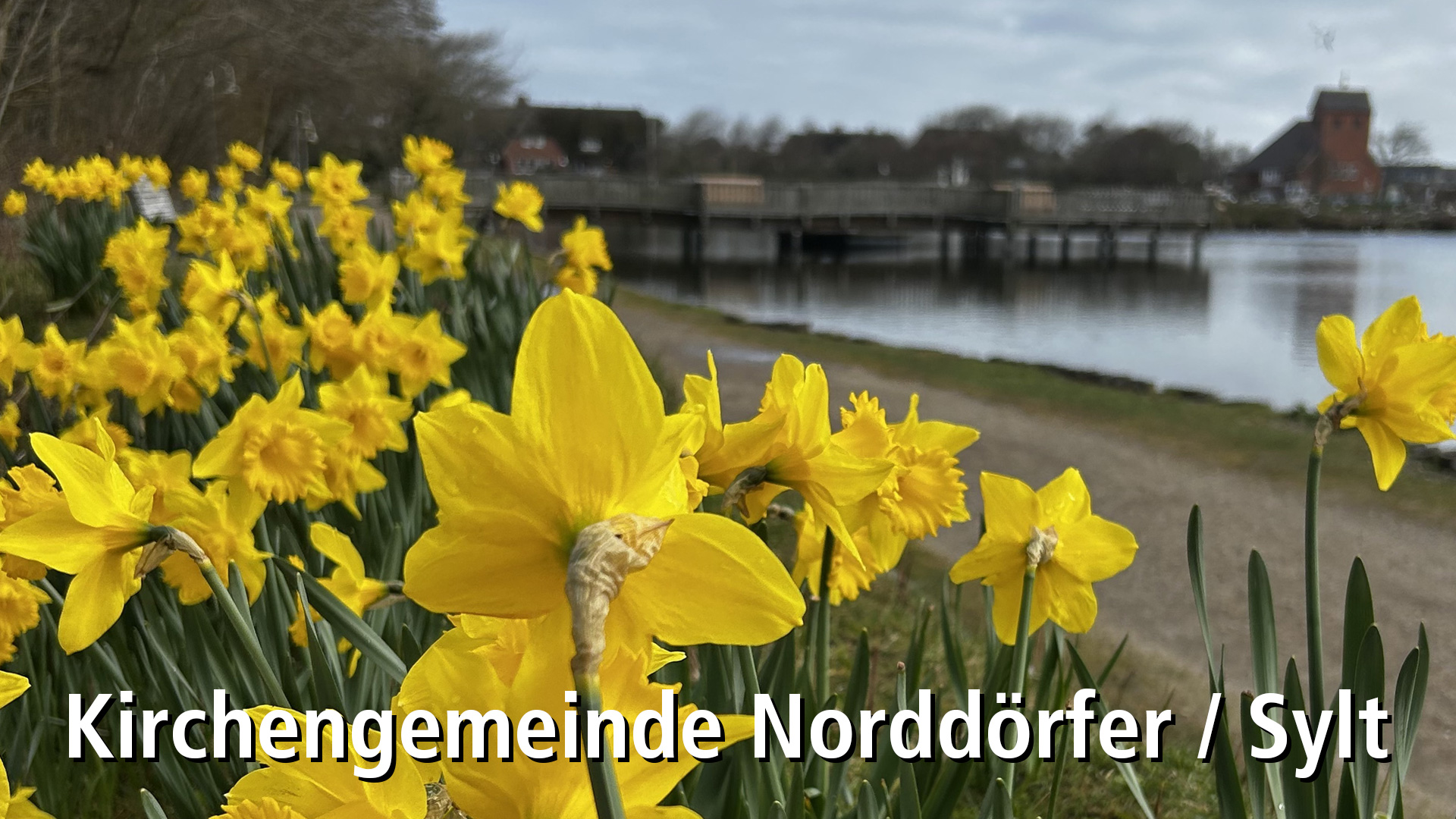 Dünen Quasimodogeniti